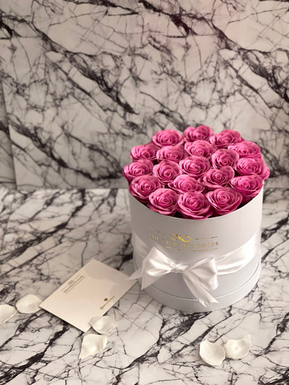 MAX Rose | Cylinder Flower Box Pink on White